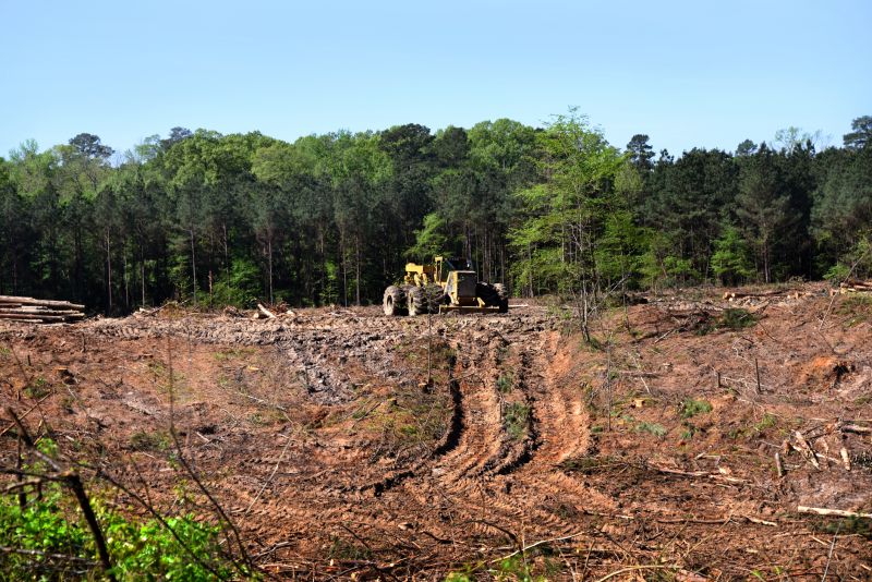 Construction Site Land Clearing in Cumming, GA