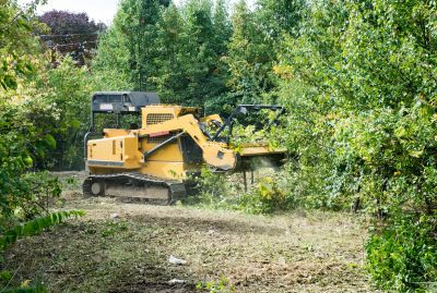 Easement Land Clearing in Gwinnett County, GA