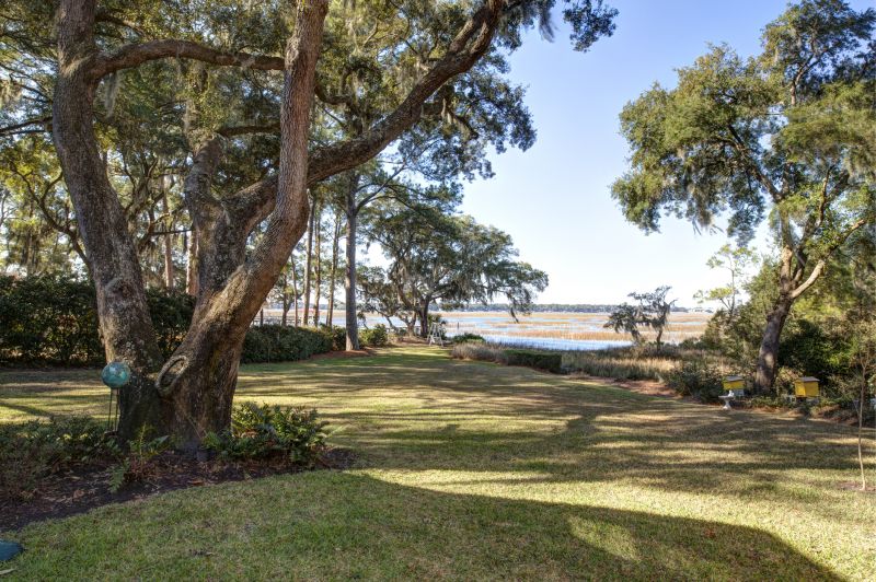 Lakefront Property Clearing in Gwinnett County, GA