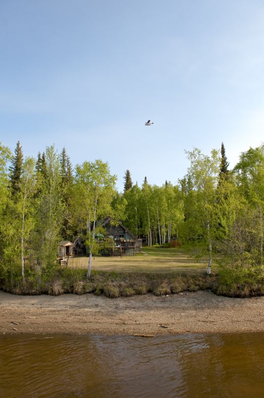 Local Waterfront Land Clearing pros at work