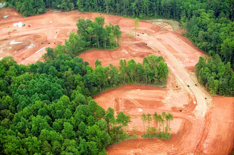 Waterfront Land Clearing
