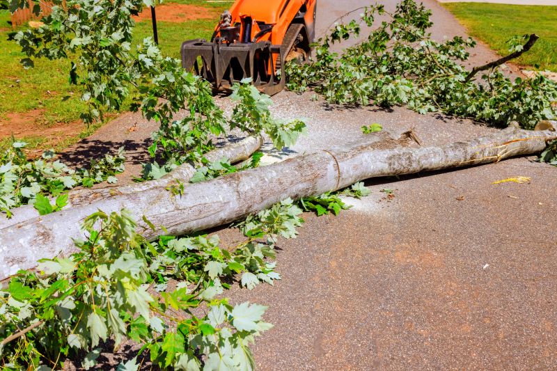 Apple Tree Removal in Pottstown, PA