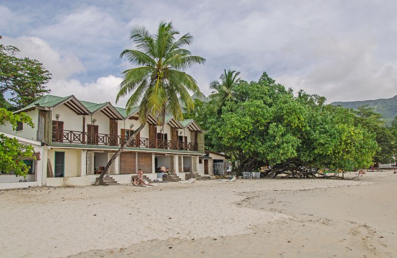 Building Site Clearing in Utah County, UT