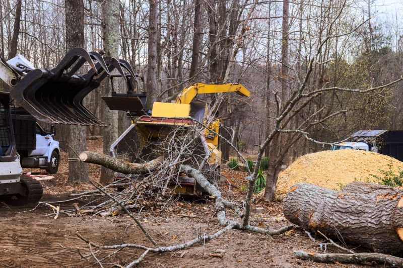 Cherry Tree Removal in Pottstown, PA