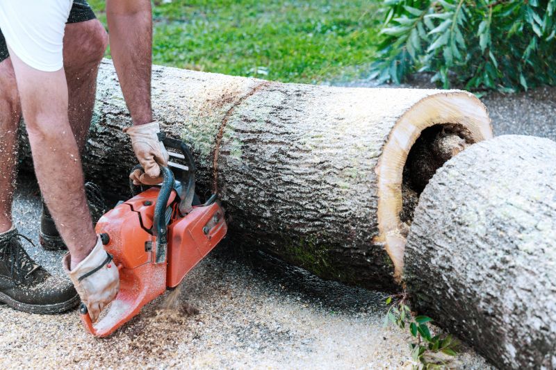 Commercial Tree Removal in Allentown, PA