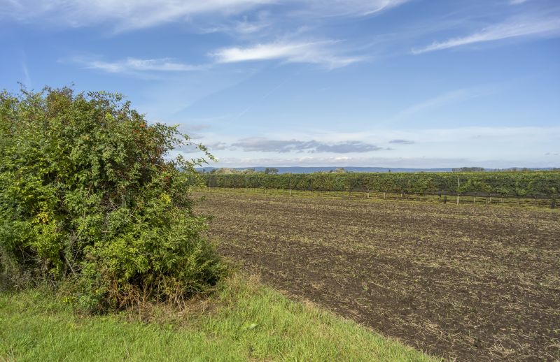 Farm Clearing in Cumming, GA