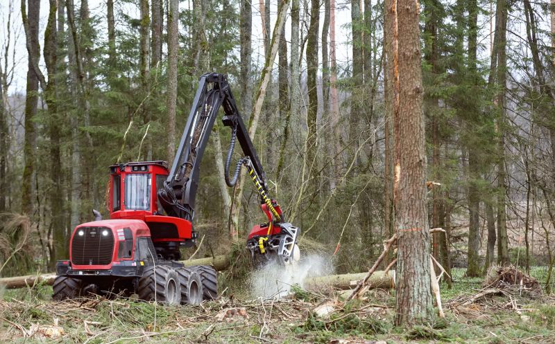 Forestry Clearing in Houston, TX