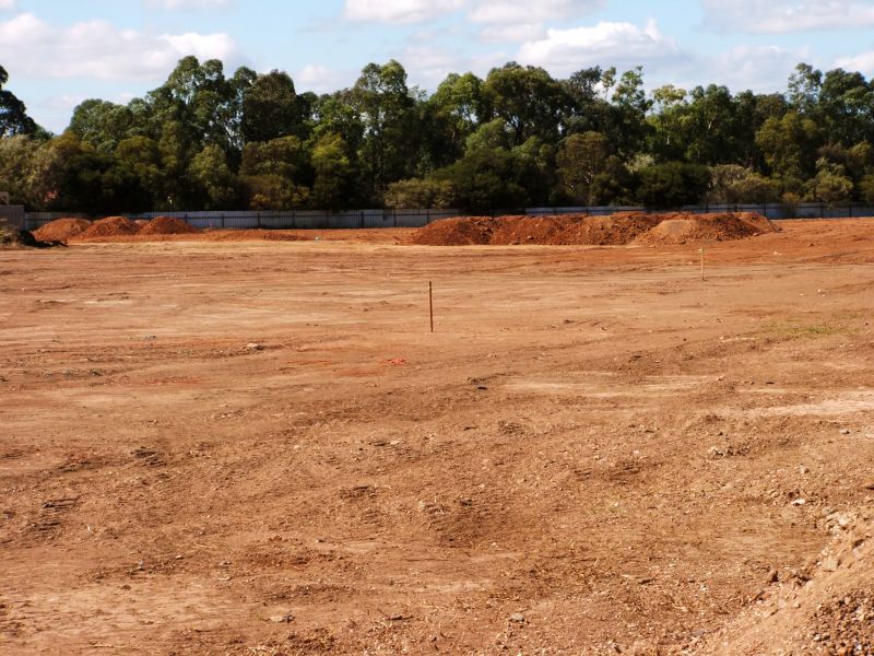 Cleared Land for Agriculture