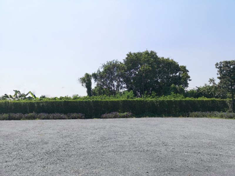Land Grading in Houston, TX