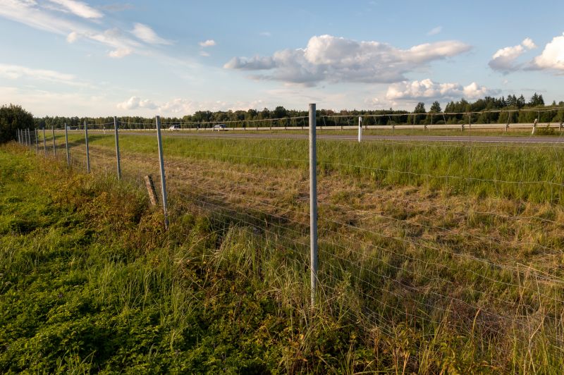 Property Line Clearing in Gwinnett County, GA