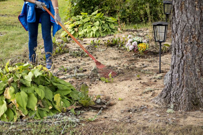 Site Clearing Service in Cumming, GA