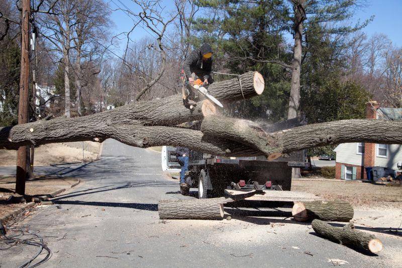 Tree Removal Service in Pottstown, PA