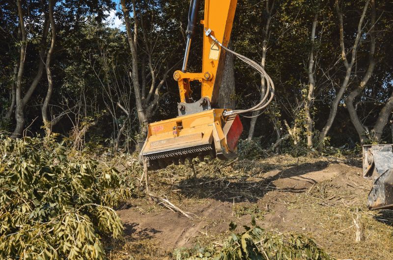 Underbrush Clearing in Cumming, GA
