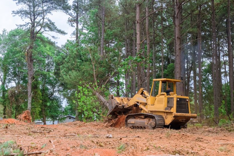 Best Time to Hire for Waterfront Land Clearing